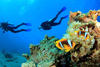 core reef conservation specialty