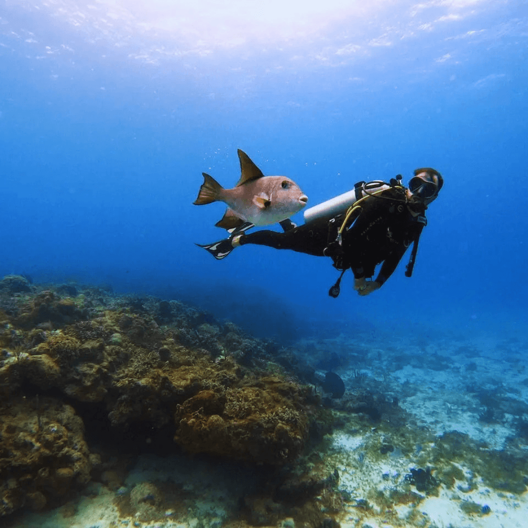 3 Days Dive Package