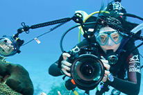 Underwater digital photography specialty Hurghada