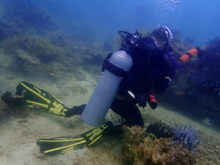 Irresponsibility,Underwater,Photographer,Whom,Step,On,The,Coral,Reefs,During