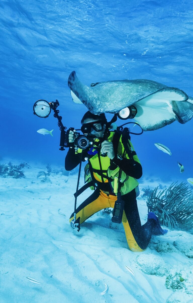 Caribbean Sea, Cayman Islands, Stingray City, diver and a stingray - FILM SCAN