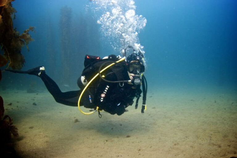 deep-diver-specialty1