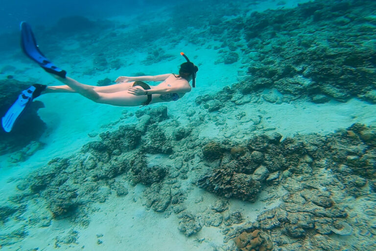 non-dive-pianodivingclub2