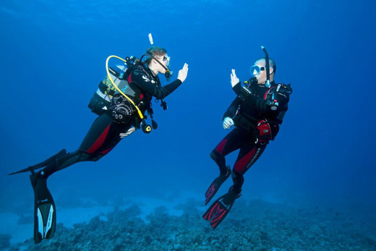 open-water-dive-course-pianodivingclub