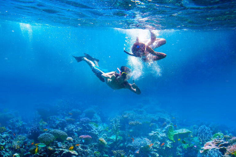 pianodivingclub-snorkeling1