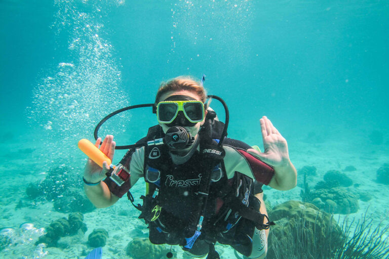 vip-dive-guide2